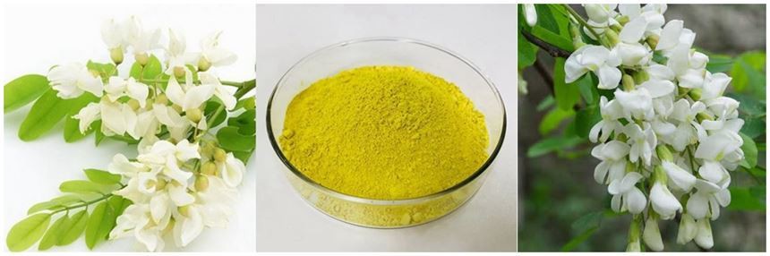 Sophora Japonica Extract 1