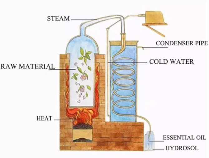 oil process