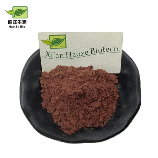 reishi mushroom extract