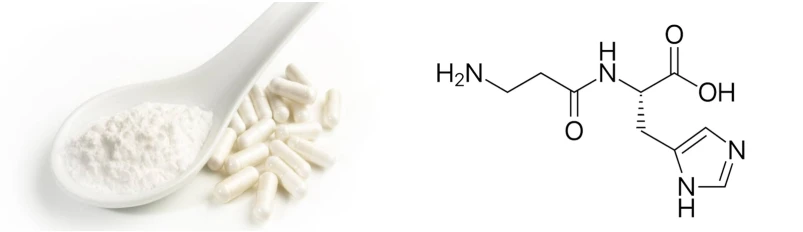 Carnosine 