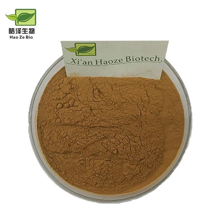 Ganoderma Extract Powder
