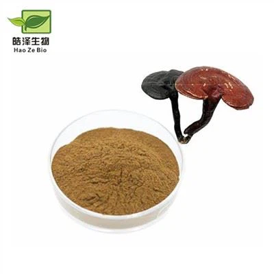 Εκχύλισμα Ganoderma Lucidum