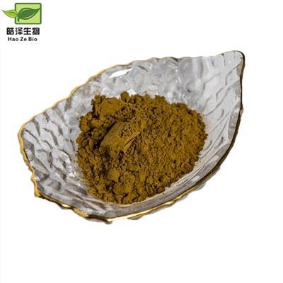 Εκχύλισμα αγριοκάστανου