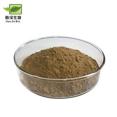 Εκχύλισμα φύλλων Senna σε σκόνη