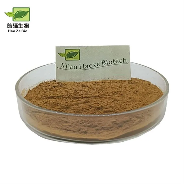 Verbena Extract Powder
