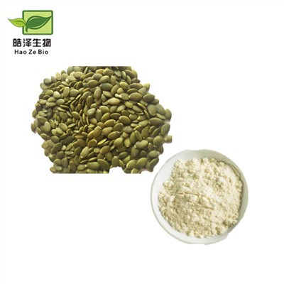 Σκόνη πρωτεΐνης σπόρων κολοκύθας