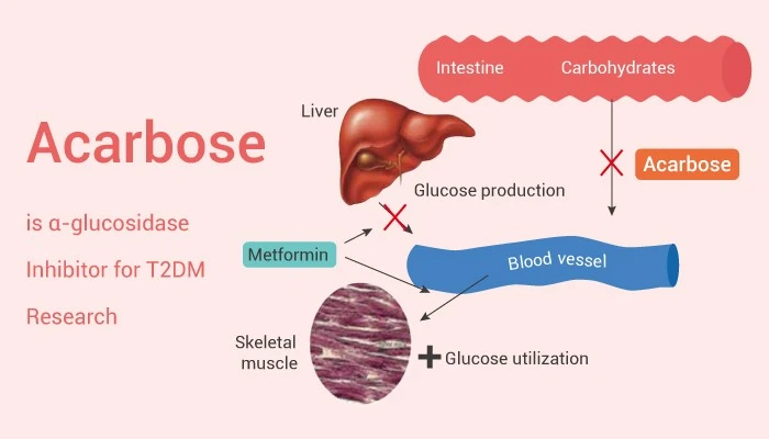 Acarbose