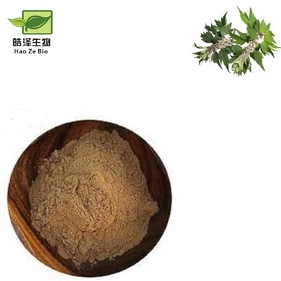 Motherwort εκχύλισμα σε σκόνη